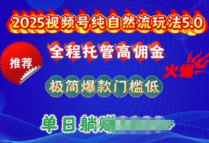 2025视频号纯自然流玩法5.0，全程托管高佣金，极简爆款门槛低，单日收益多张【揭秘】-大东资源库