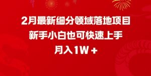 2月最新细分领域落地项目，新手小白也可快速上手，月入1W-大东资源库