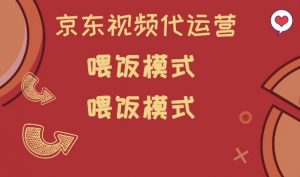 京东短视频代运营，喂饭模式，小白轻松上手【揭秘】-大东资源库