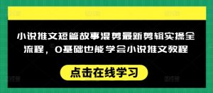 小说推文短篇故事混剪最新剪辑实操全流程，0基础也能学会小说推文教程，肯干多发日入多张-大东资源库
