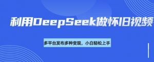 利用DeepSeek做怀旧视频，流量号多渠道变现能力强-大东资源库