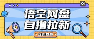 全网首发悟空网盘云真机自撸拉新项目玩法单机可挣10.20不等-大东资源库