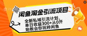闲鱼淘金私域引流计划，从0开始玩转闲鱼，副业也可以挣到全职的工资-大东资源库