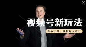 制作热点事件视频，撸视频号分成计划收益，操作简单，新手小白轻松月入过W-大东资源库