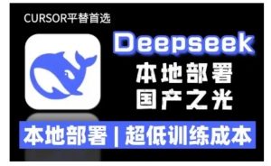 2025年deepseek R1 大型模型本地安装部署(文件+教程)本地部署，超低训练成本-大东资源库