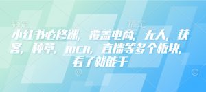 小红书必修课，覆盖电商，无人，获客，种草，mcn，直播等多个板块，看了就能干-大东资源库