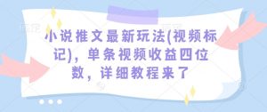 小说推文最新玩法(视频标记)，单条视频收益四位数，详细教程来了-大东资源库