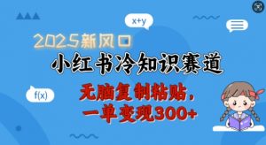 2025新风口，小红书冷知识赛道，无脑复制粘贴，一单变现300+-大东资源库