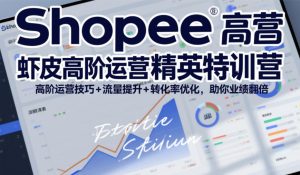 Shopee虾皮高阶运营精英特训营，高阶运营技巧+流量提升+转化率优化，助你业绩翻倍-大东资源库