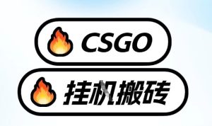真全网独家CSGO挂G，最新玩法,单日捡漏1K+，不用电脑，不用打游戏【揭秘】-大东资源库