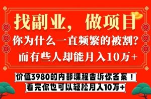 价值3980的网创内部课程，告诉你互联网创业月入10个W的秘密【揭秘】-大东资源库