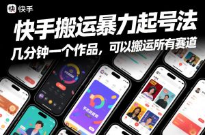 快手搬运暴力起号法，几分钟一个作品，手机就能做，可以搬运所有赛道-大东资源库