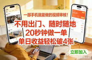 一部手机就能做的视频审核！不用出门，随时随地，20秒钟做一单，单日收益轻松破4张【揭秘】-大东资源库