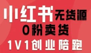 小红书无货源0粉电商课，开店准备、选品策略、笔记撰写、视频剪辑、数据分析、账号打造、资料文档（更新）-大东资源库