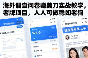 海外调查问卷賺美刀实战教学，老牌项目，人人可做稳如老狗-大东资源库