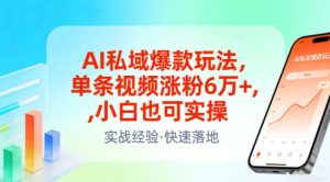 AI私域爆款玩法，单条视频涨粉6W+，小白也可实操-大东资源库