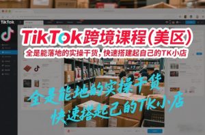 TikTok跨境课程（美区），全是能落地的实操干货，快速搭建起自己的TK小店-大东资源库