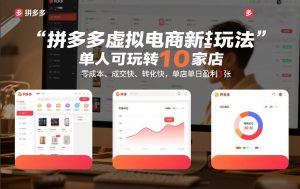 拼多多虚拟电商新玩法，单人可玩转10家店，零成本、成交快、转化快，单店单日盈利3张【揭秘】-大东资源库