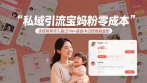 私域引流宝妈粉零成本流程简单月入超过1W+适合小白想做副业的-大东资源库