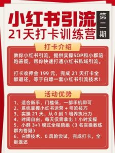 小红书引流21天打卡训练营第二期，助你快速打通小红书私域引流打粉-大东资源库