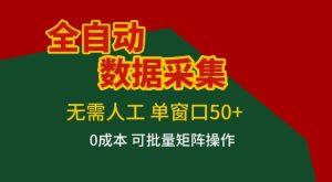 全自动数据采集项目，无需人工，单窗口可达50+收益，操作简单无难度，一个人也能轻松实现矩阵【揭秘】-大东资源库